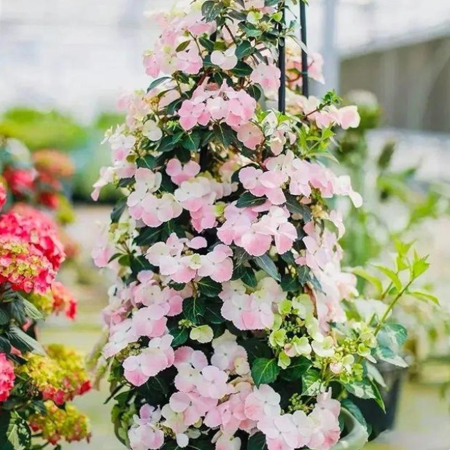 image-20220410204951423