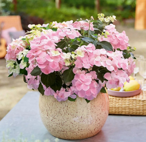 image-20220410205103634