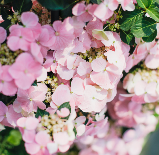 image-20220410205435850