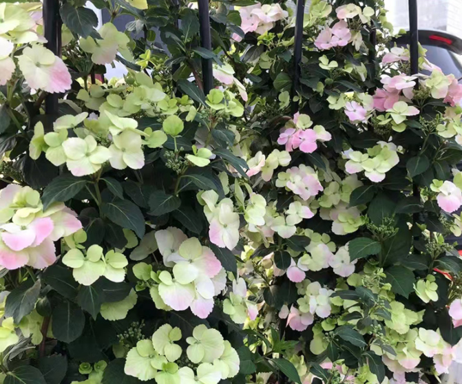 image-20220410205556402