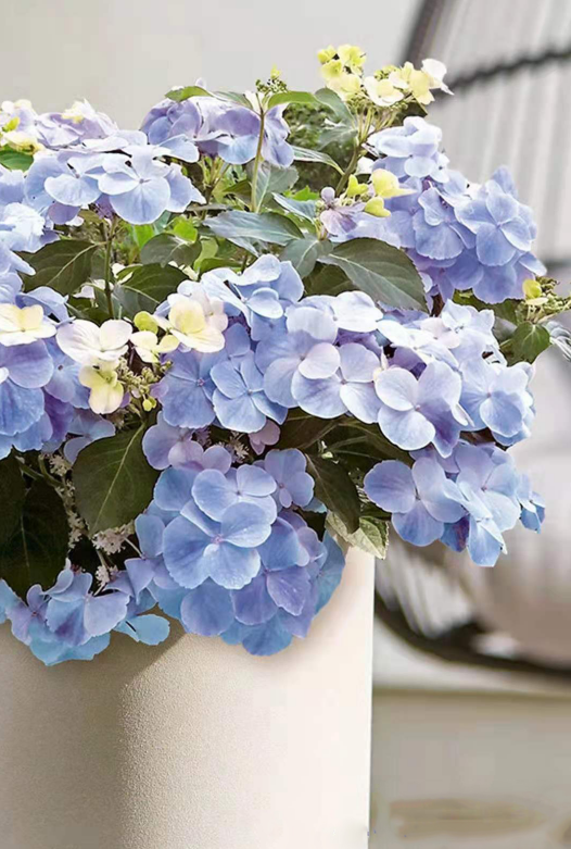 image-20220410210008882