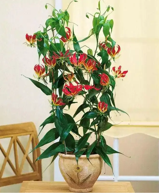 image-20220424231125748