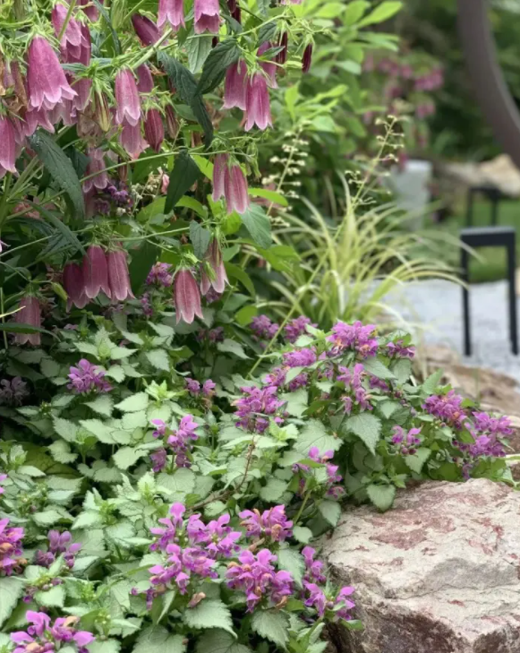 image-20220522224225205