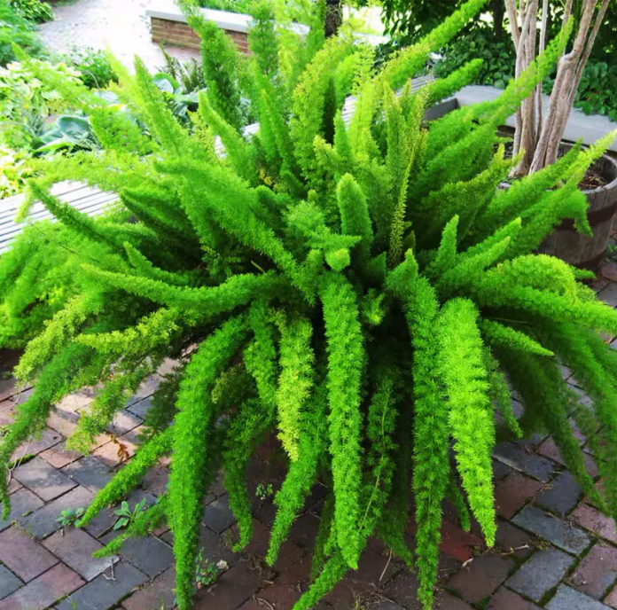 image-20220523224910312