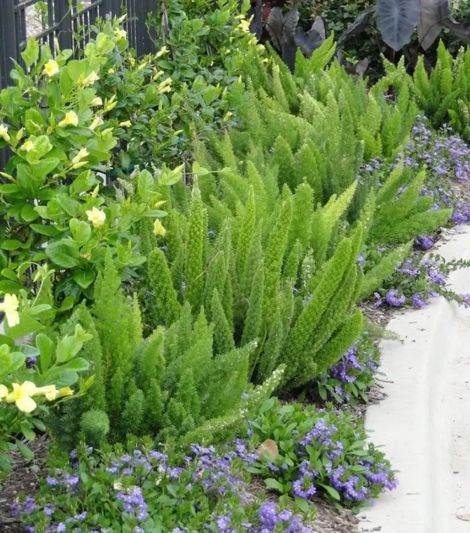 image-20220523224936701