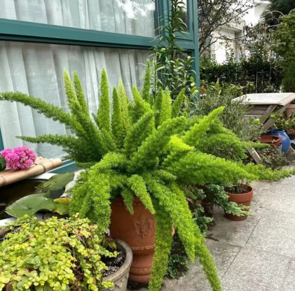 image-20220523225013149