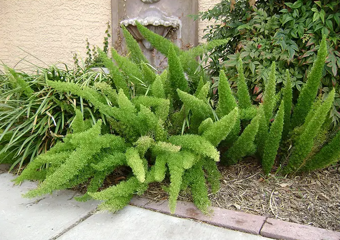 image-20220523225218907