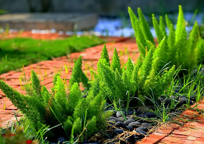 image-20220523225301729