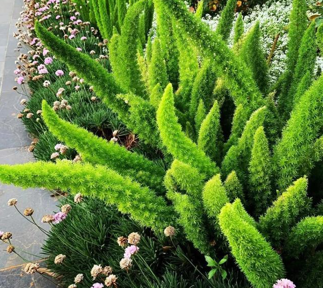 image-20220523225327870