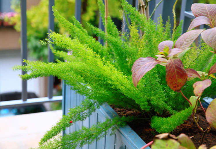 image-20220523225401179