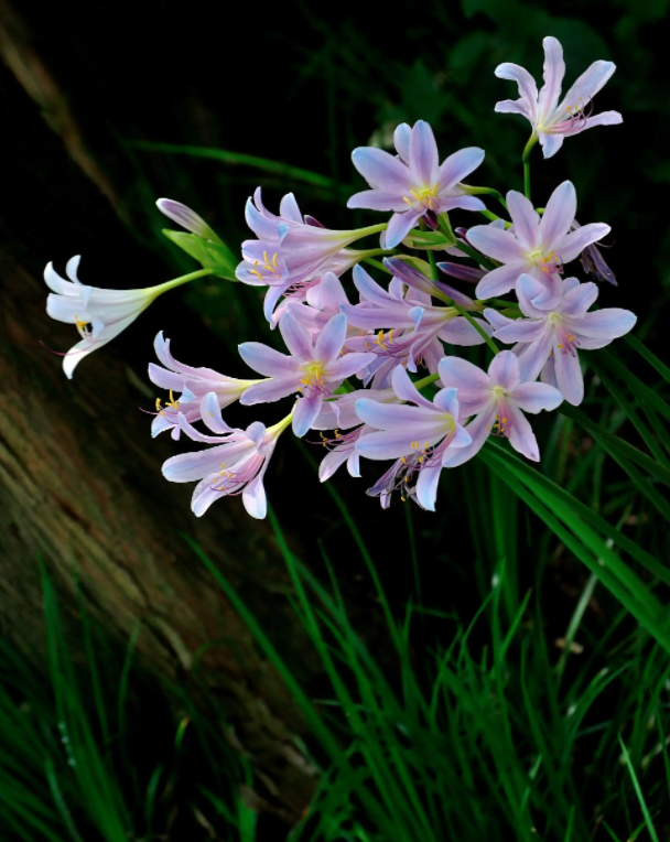 image-20220616223533741