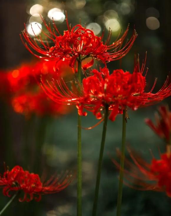 image-20220616223637190