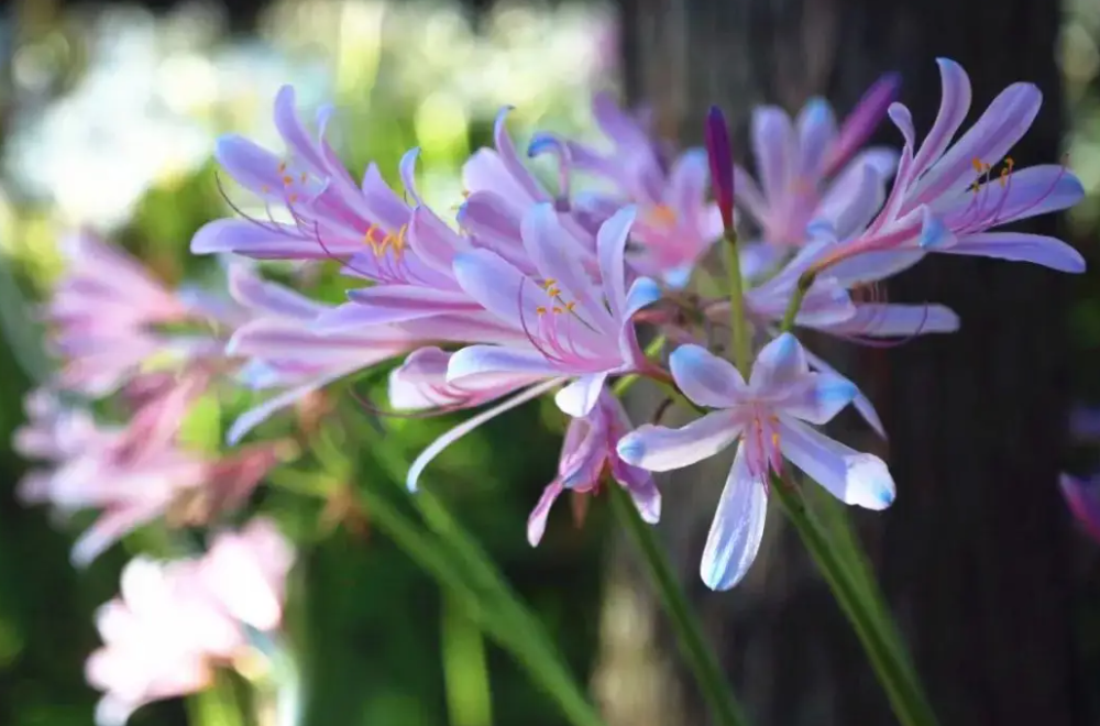 image-20220616223706110