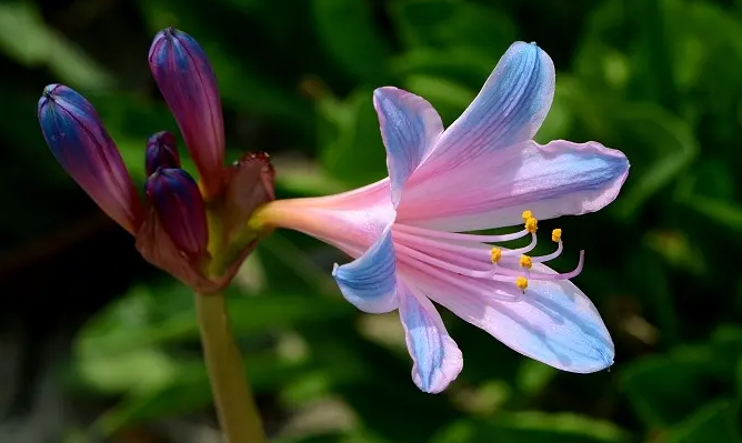 image-20220616223735445