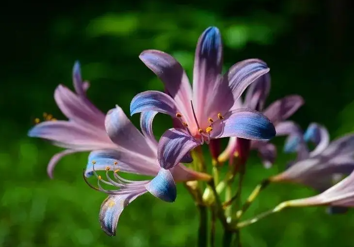 image-20220616223806216