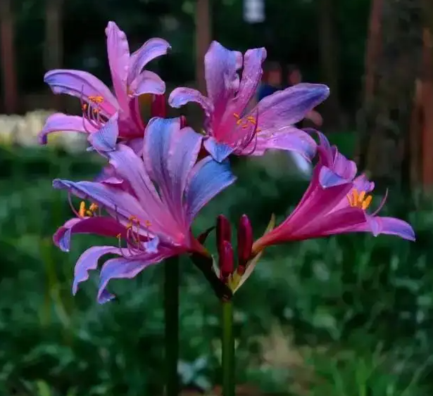 image-20220616223858854