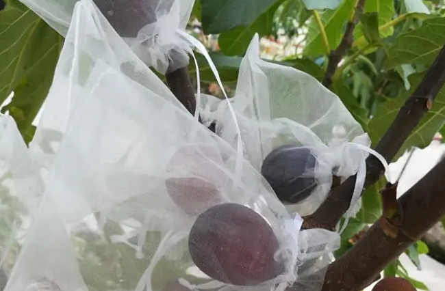 image-20220826183616586