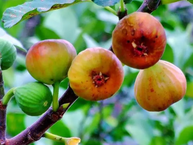 image-20220826183926157